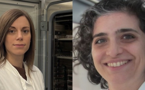 Università di Brescia: le ricercatrici Monti e Alias vincitrici di una Post Doctoral Fellowship 2026