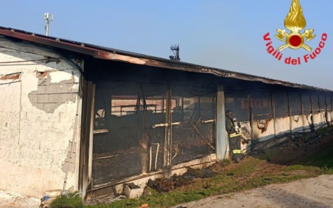 Isorella: a fuoco il tetto di un capannone per l’allevamento avicolo