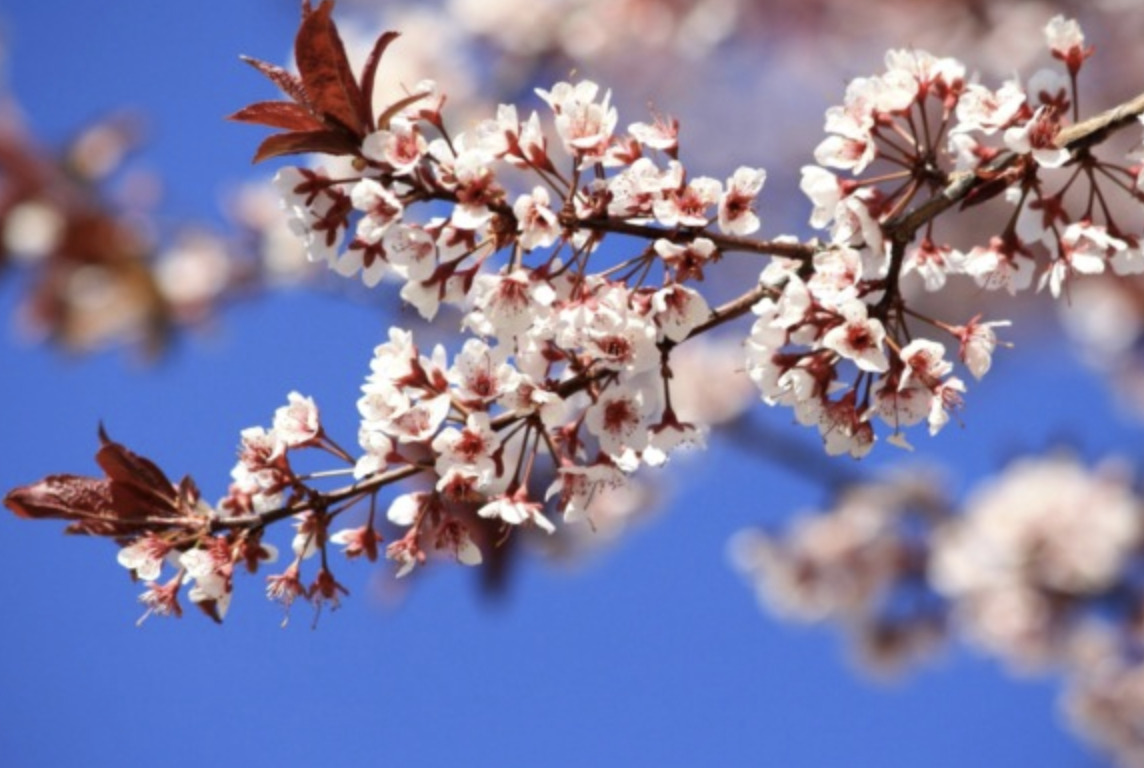 Meteo nel Bresciano: cielo sereno, giovedì peggiora, ma nel fine settimana arriva la primavera