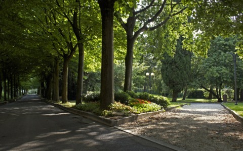 Ispezione su 5000 alberi a Sirmione: al via gli interventi
