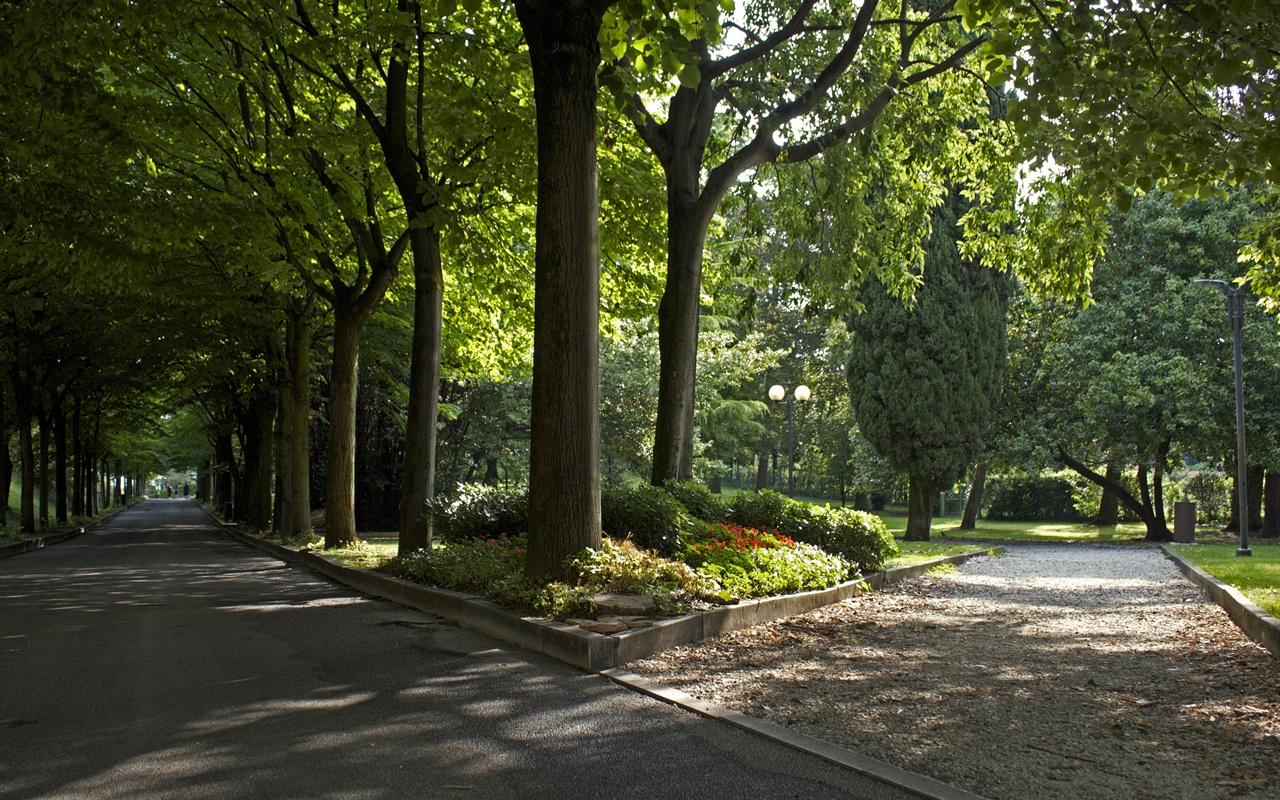 Ispezione su 5000 alberi a Sirmione: al via gli interventi