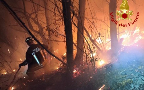 Spaventoso incendio a Corte Franca: il fuoco divora 5.200 metri quadrati di bosco