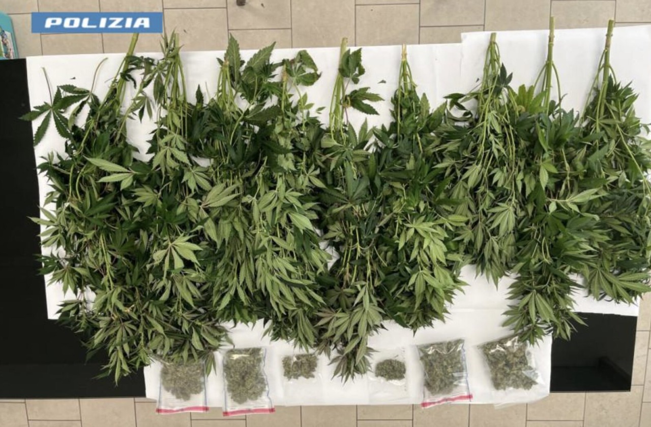 Spaccio a Brescia: la Polizia denuncia un 60enne trovato in casa con marijuana