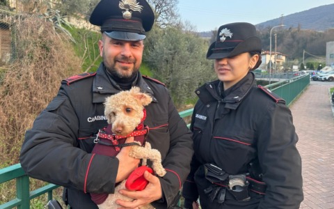 Sulzano, lasciano il cane in auto per farsi un giro sul lago: salvato dai vigili del fuoco