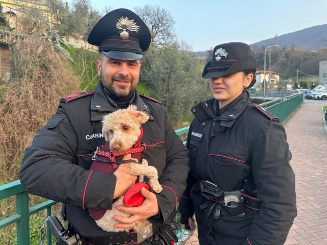 Sulzano, lasciano il cane in auto per farsi un giro sul lago: salvato dai vigili del fuoco