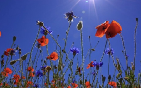 Meteo nel Bresciano: sarà una Pasqua all’insegna del sole