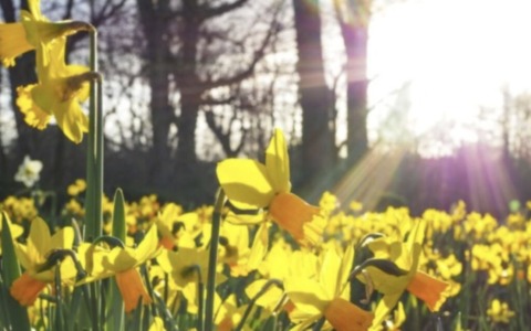 Vacanze di Pasqua, Federalberghi Brescia: “Occupazione intorno all’80% nella nostra provincia”