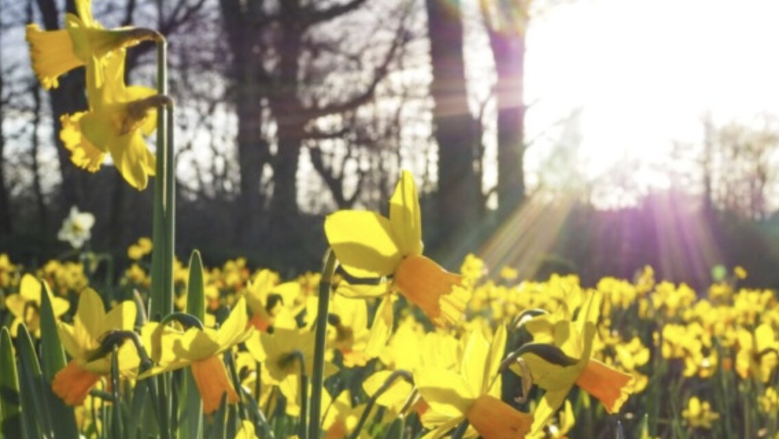 Vacanze di Pasqua, Federalberghi Brescia: “Occupazione intorno all’80% nella nostra provincia”