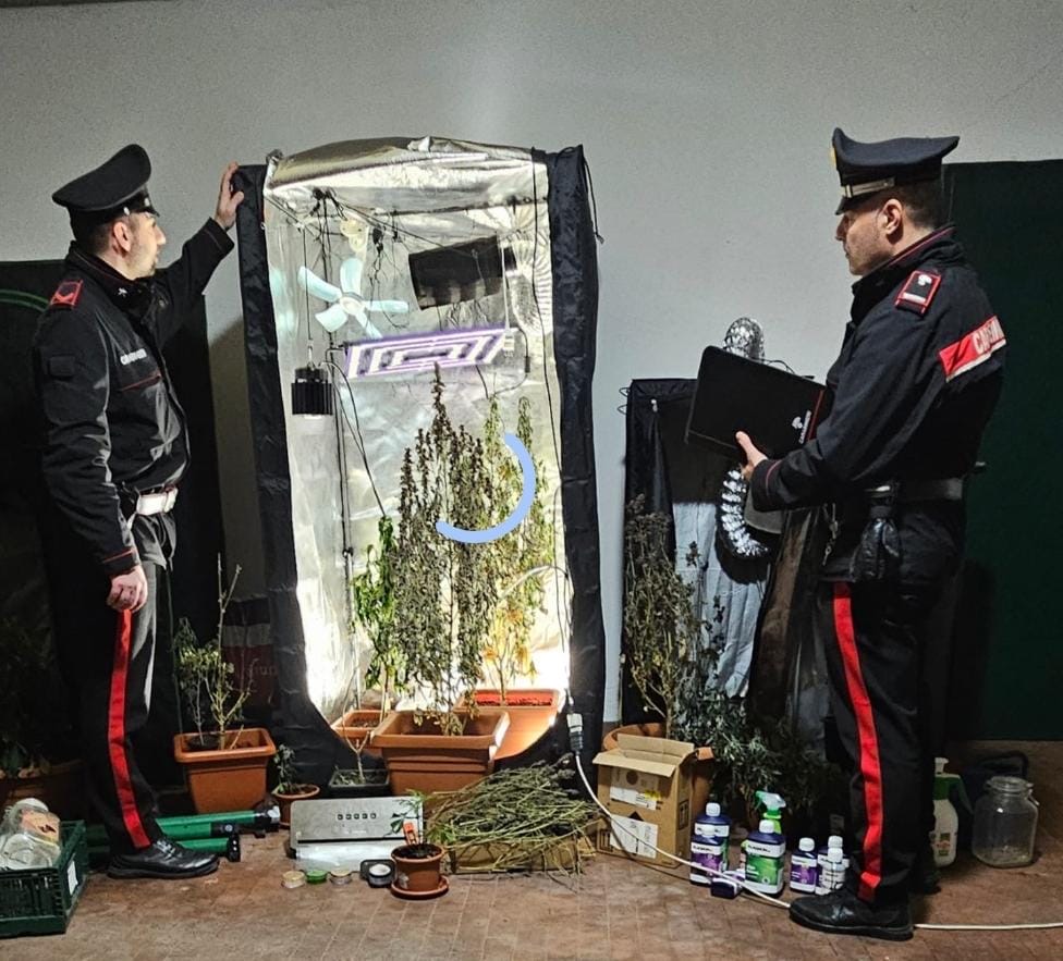 Coltiva marijuana in garage: arrestato 40enne a Isorella