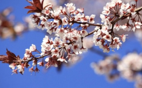Meteo nel Bresciano: torna il sole nel fine settimana