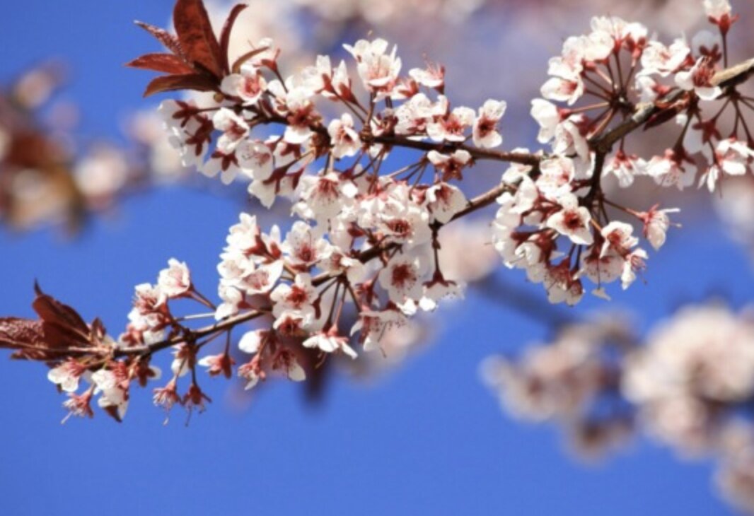 Meteo nel Bresciano: torna il sole nel fine settimana