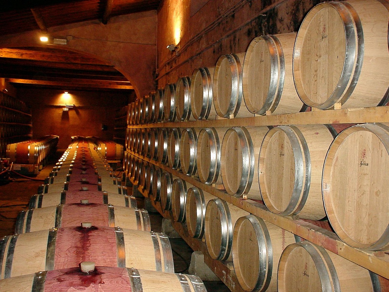 Le eccellenze del territorio: la sicurezza nelle cantine vinicole