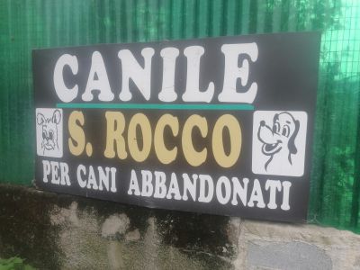 Calcinatello, stop a cani e gatti al San Rocco: il futuro legato al nuovo canile di Cepav Due