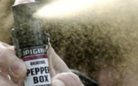 Capriano del Colle: giovane spruzza lo spray al peperoncino sull’autobus