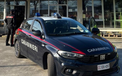 Furto nel vivaio nella notte: arrestato un 51enne a Palazzolo sull’Oglio