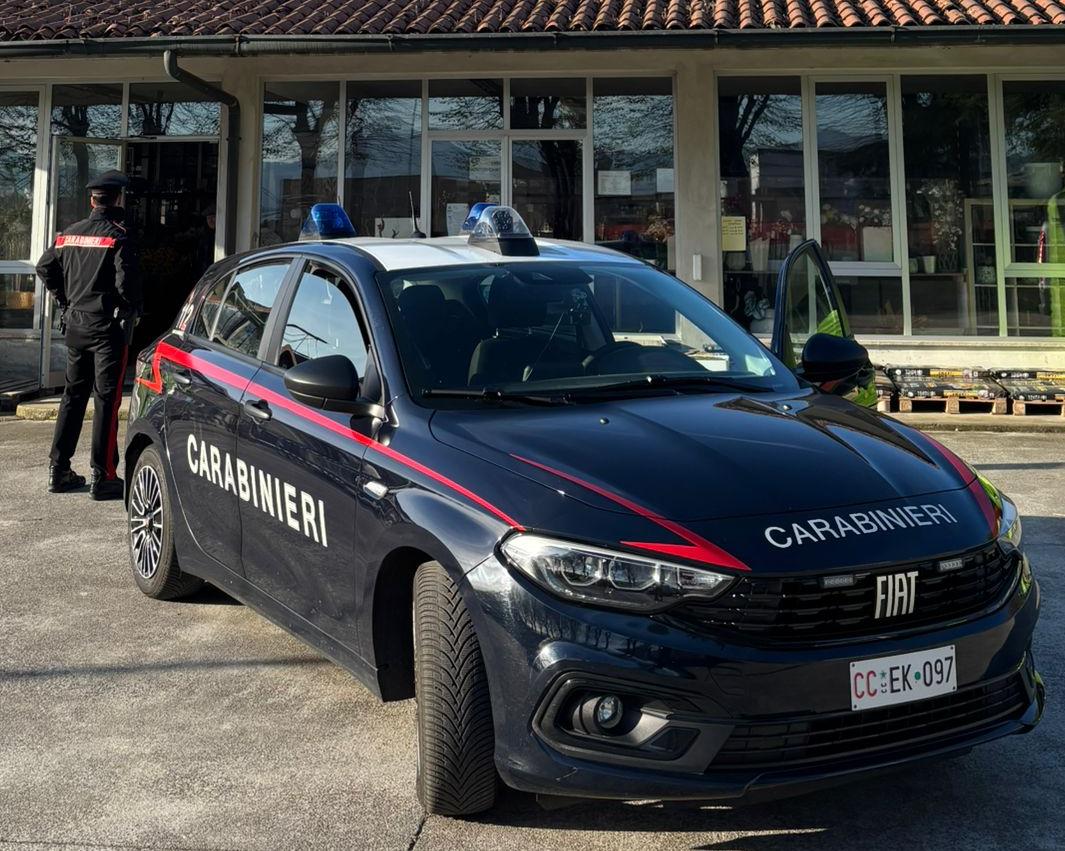 Furto nel vivaio nella notte: arrestato un 51enne a Palazzolo sull’Oglio