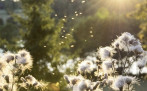 Meteo nel Bresciano: si va verso un fine settimana con aumento delle temperature