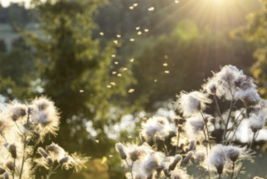 Meteo nel Bresciano: si va verso un fine settimana con aumento delle temperature