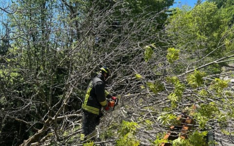 Cevo: alberi sulla carreggiata post temporale, l’intervento dei Vigili del Fuoco