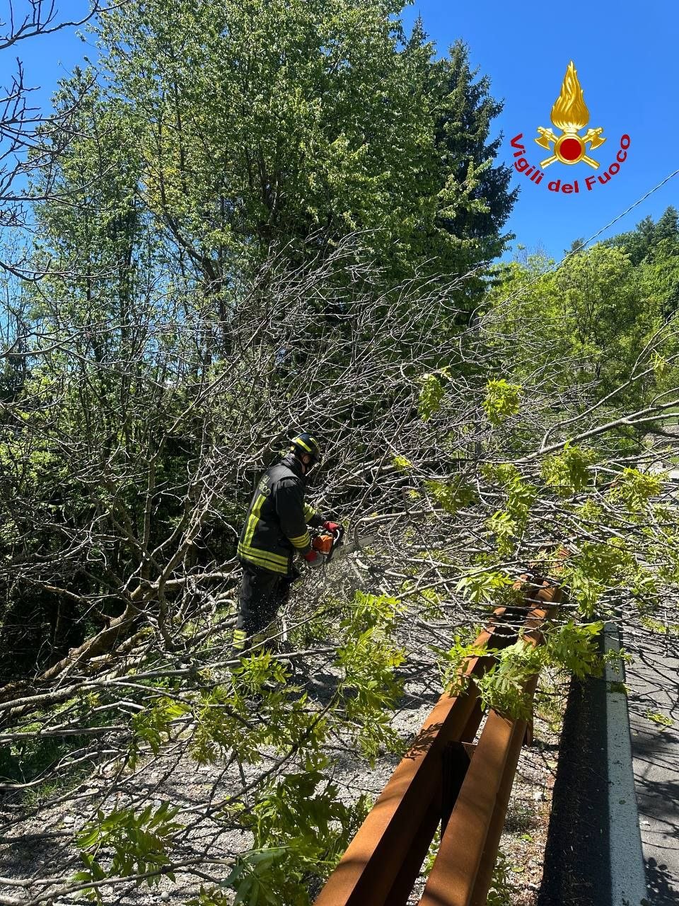 Cevo: alberi sulla carreggiata post temporale, l’intervento dei Vigili del Fuoco