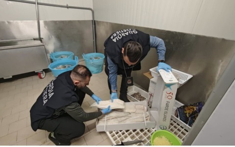 Lago d’Iseo: la Guardia Costiera sequestra 2mila chilogrammi di prodotti ittici