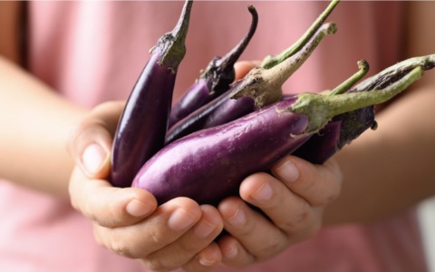 Melanzana, la calda amica nell’orto che ama il sole e vuole tanta acqua