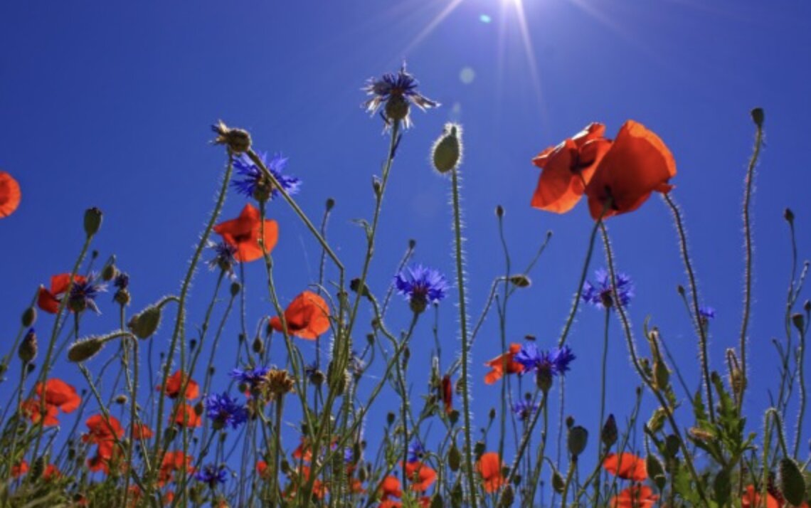 Meteo nel Bresciano: domina il sole e temperature in aumento