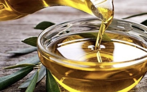 Olivicoltura dell’Alto Garda Bresciano: a Gargnano la firma del protocollo d’intesa