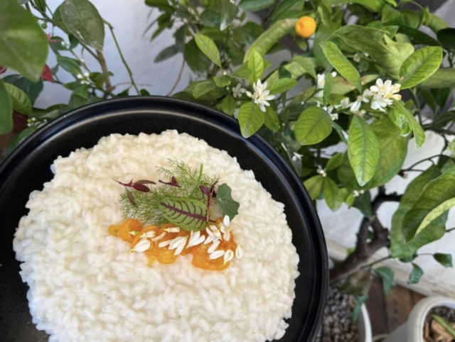 Risotto