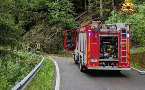 Maltempo: abete si abbatte sulla carreggiata, l’intervento dei Vigili del Fuoco