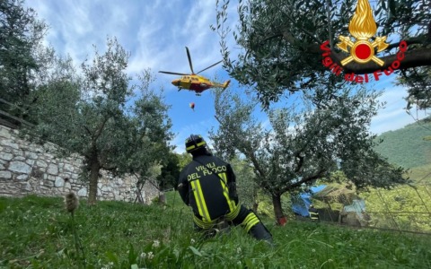 Polaveno: cade da un albero da circa quattro metri, arriva l’elisoccorso
