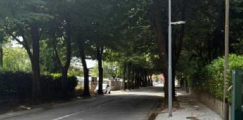 Scontro sulla messa in sicurezza di viale Italia