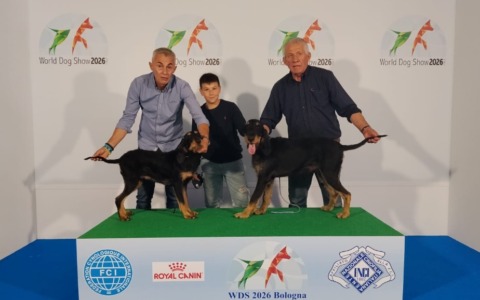 La Bassa al World dog show