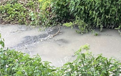 Seriola, i residenti chiedono chiarezza sugli scarichi dopo gli esami dell’Arpa