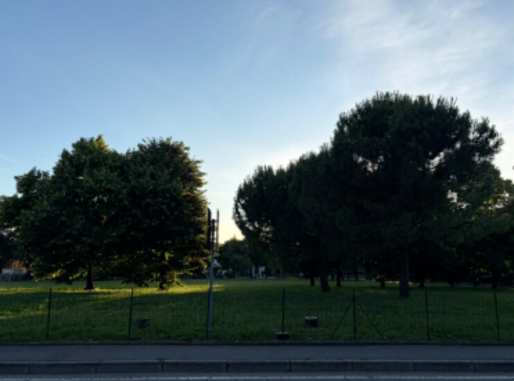 Trovato il tarlo asiatico del fusto sul territorio: via al piano straordinario di eradicazione