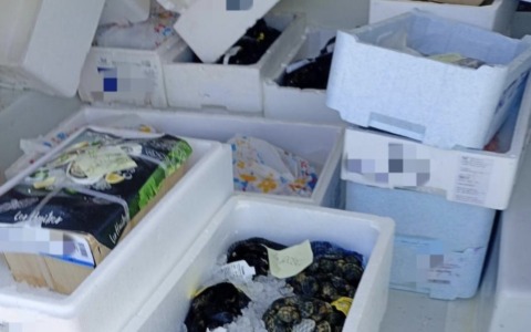Erano destinati ai ristoranti del Garda: sequestrati 130 chilogrammi di alimenti avariati