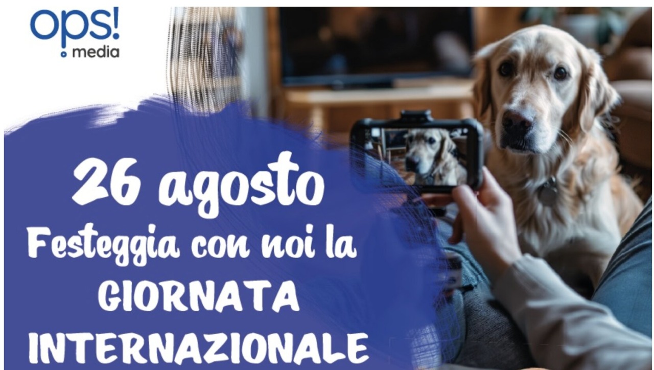Festeggia la Giornata internazionale del cane con ManerbioWeek, ChiariWeek, MontichiariWeek e GardaWeek e OPS Media
