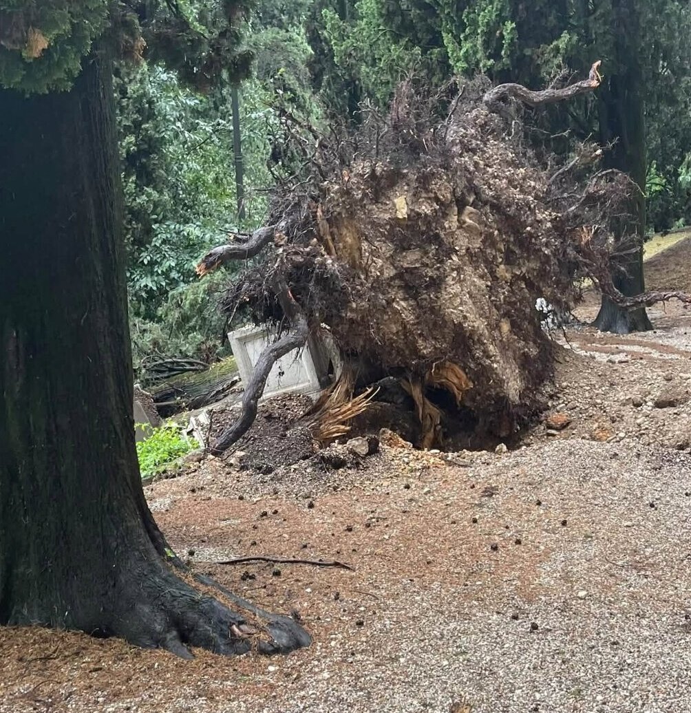 Maltempo nel Bresciano: quali sono le zone colpite