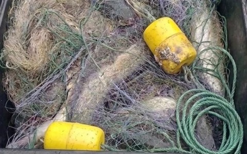 Tra le Torbiere e la Valle Camonica: la Polizia Provinciale ferma quattro bracconieri, due denunciati