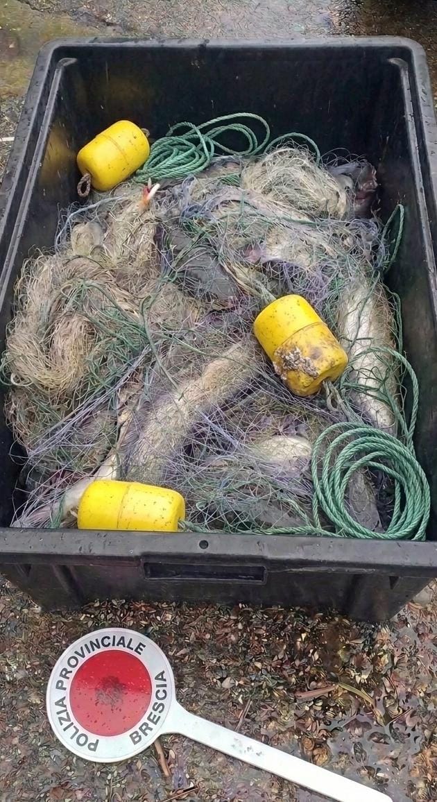 Tra le Torbiere e la Valle Camonica: la Polizia Provinciale ferma quattro bracconieri, due denunciati