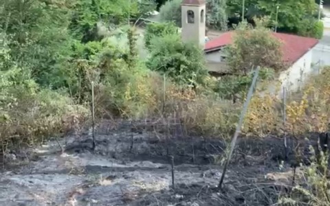 Rogo sul monte di Capriolo, bruciato un vigneto e una porzione di bosco