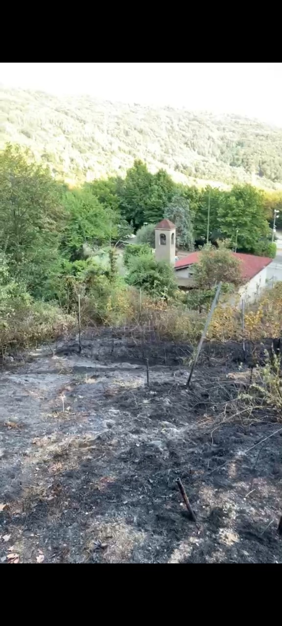Rogo sul monte di Capriolo, bruciato un vigneto e una porzione di bosco