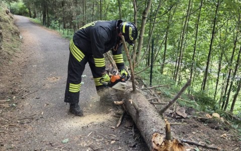 Albero caduto lungo la ciclabile: l’intervento dei Vigili del Fuoco