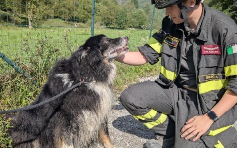 Cade nel torrente, Vigili del Fuoco a Edolo recuperano un cane