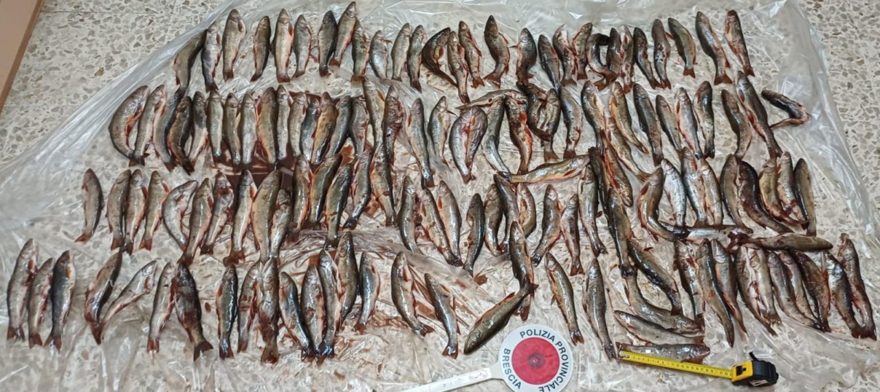 Stretta contro la caccia e la pesca abusive nel Bresciano: tre casi in pochi giorni