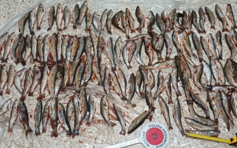 Stretta contro la caccia e la pesca abusive nel Bresciano: tre casi in pochi giorni