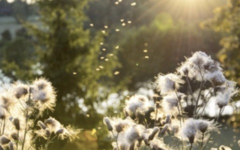Meteo nel Bresciano: nel fine settimana attese temperature fino a 30 gradi