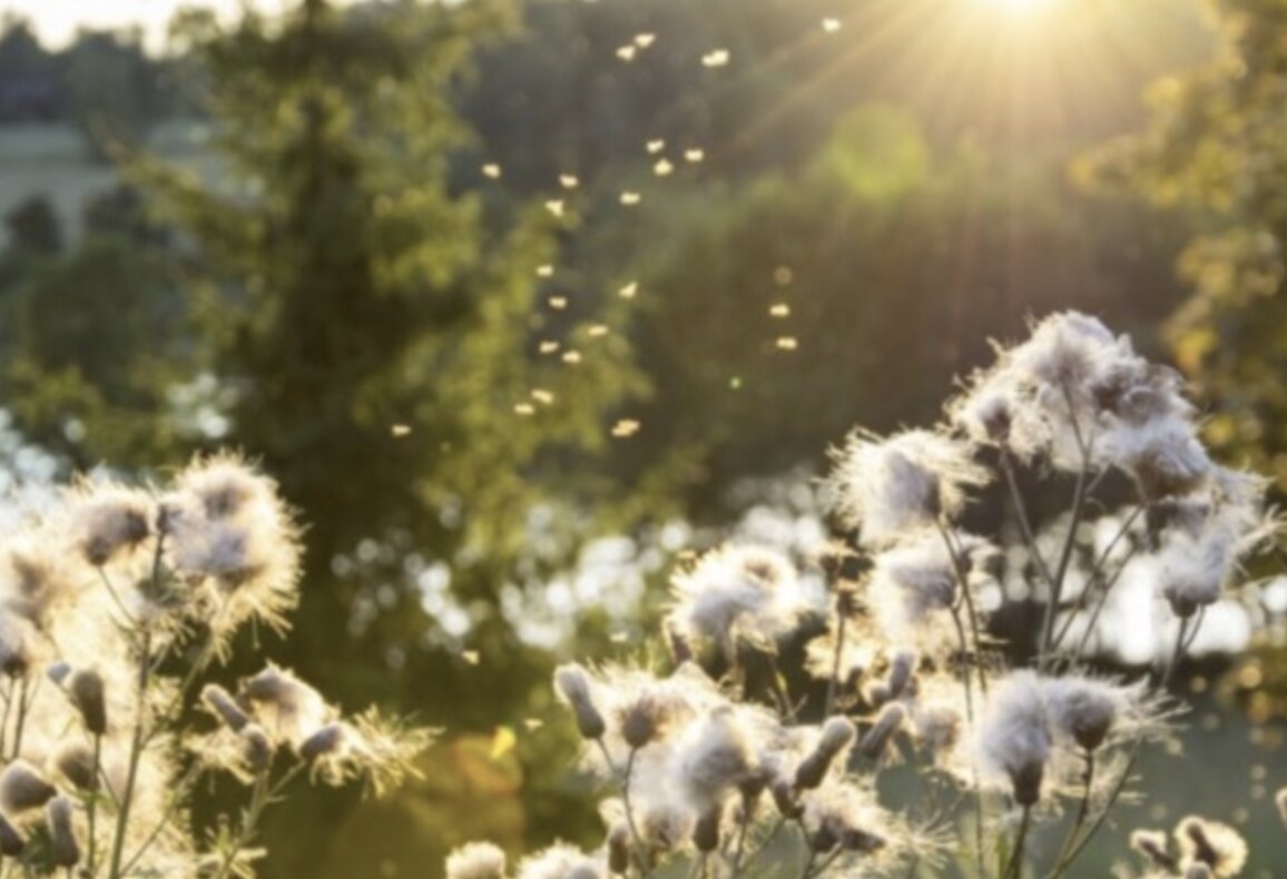 Meteo nel Bresciano: nel fine settimana attese temperature fino a 30 gradi