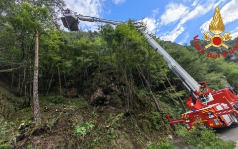 Piante e detriti sulla sede stradale, l’intervento dei Vigili del Fuoco a Idro