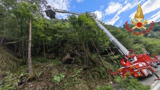 Piante e detriti sulla sede stradale, l’intervento dei Vigili del Fuoco a Idro